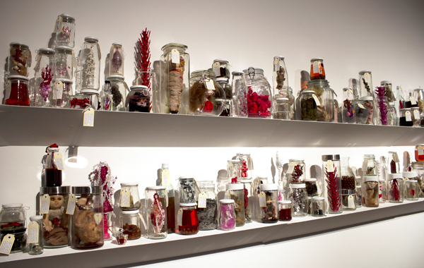 Specimen, Mai Nguyen-Long 2013, used jars, found & mixed media objects, organic material, liquid, labels, dimensions variable